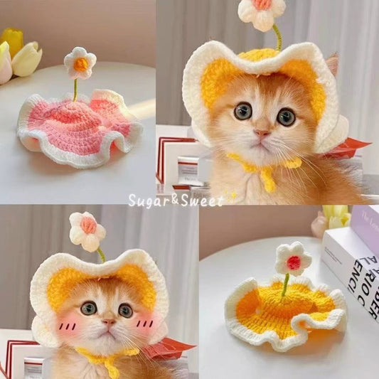 Cute plush pet birthday cake hat in pink, worn by a cat for a birthday celebration.