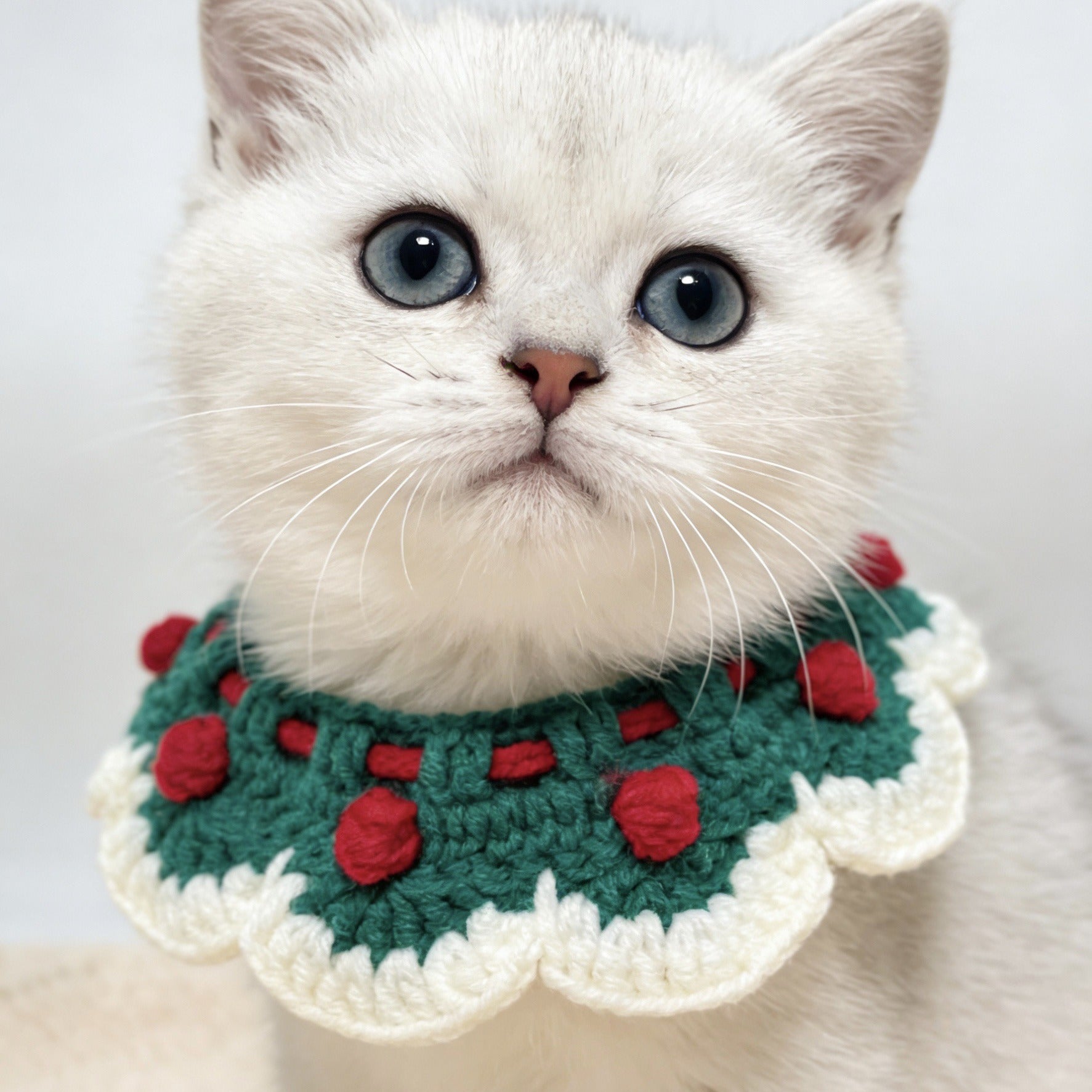 White kitten wearing a green and red crochet pet collar with 3D red flowers and white pom-poms, against a plain light background.